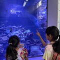 迎接國際博物館日 海科館精彩親子活動5月接力登場