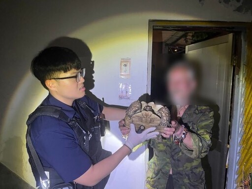 寵物象龜散步遭翁「套袋」偷走 平警靠這招火速尋回
