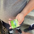 5萬入袋！馬來西亞籍車手搭小黃講電話露餡 運將助壢警逮人