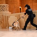 2025世壯運高爾夫球賽事楊梅舉行 桃警辦理演練提升應變能力