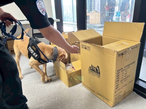世壯運曲棍球賽龍潭開打 桃園警犬隊出動維護場館安全