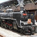 遨遊花東縱谷！台鐵仲夏寶島號活動開跑 搶票時間曝