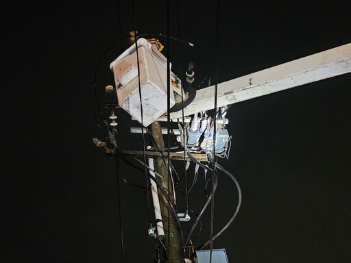八德4324戶無預警停電 台電桃園區處曝兇手是牠
