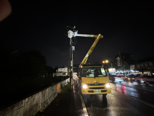 八德4324戶無預警停電 台電桃園區處曝兇手是牠