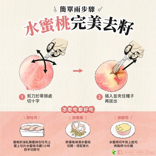 教你優雅享受水蜜桃!兩步驟輕鬆去籽不沾手