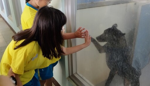 桃市龍岡國小舉辦愛心義買 為動保園區浪浪募集飼料