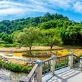 草嶺溪水環境營造工程力拼11月完工 打造大溪旅遊新亮點