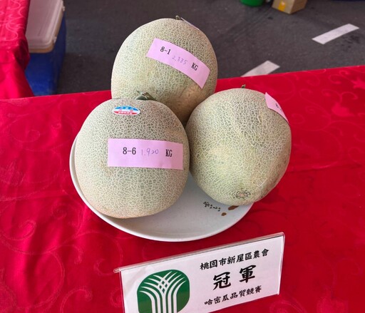 桃園新屋哈蜜瓜節熱鬧登場 帶動地方農業發展