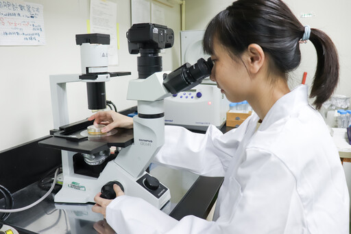 長庚大學團隊建立再生醫療新方向 客製化細胞修護兔子視力