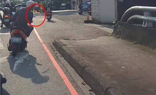 7月起開罰!桃園重拳出擊維護環境 6違規行為罰鍰翻3倍