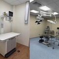 桃園毛孩復健泳池7月啟用 關懷高齡犬隻健康福祉再升級