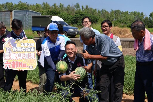 桃園擴大推廣紙農膜導入西瓜田 蘇俊賓:兼具環保與經濟效益