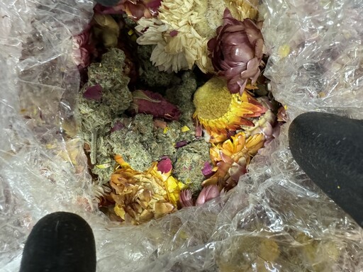 乾燥花有毒!泰國包裹夾藏大麻花 黑幫集團11人全遭逮