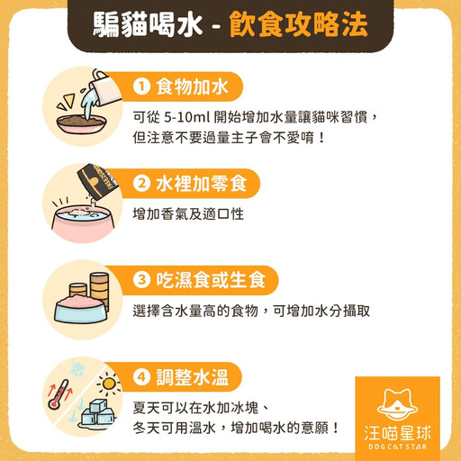 高溫飆破38°C毛孩中暑激增 汪喵星球聯手獸醫提醒3大熱傷害警訊