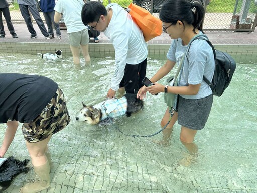 全台第一座公立寵物戲水池在桃園 採線上預約制