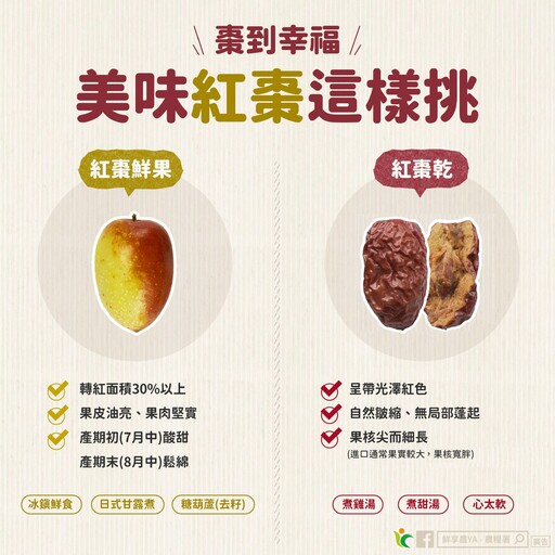 買對紅棗靠這招!農糧署公開挑果小撇步