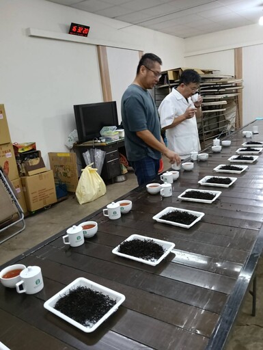 蘆竹區舉辦蘆峰紅茶評比 她展現深厚製茶實力抱走第一名