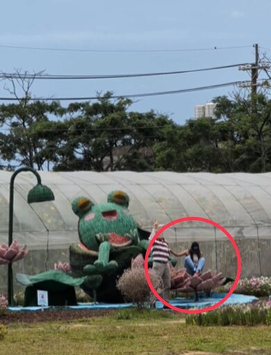 桃園蓮花季裝置藝術遭攀爬拍照 農業局籲民眾注意安全勿違規