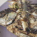 魚刺雞骨怎麼處理？非廚餘正確處理保護豬隻安全