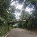 楊柳颱風釀桃園5.8萬戶停電！台電曝搶修進度