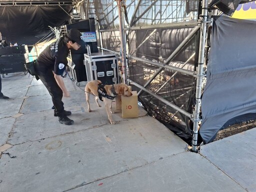桃園警犬前進珍珠海岸國際音樂節 確保活動順利進行
