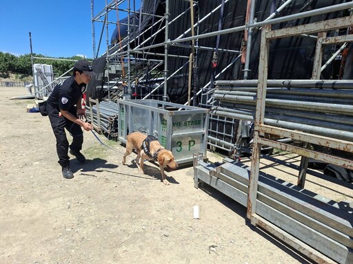 桃園警犬前進珍珠海岸國際音樂節 確保活動順利進行