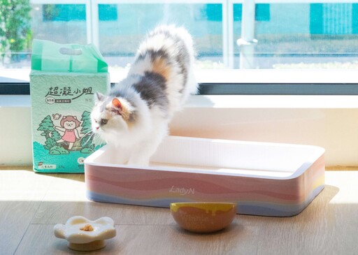 新莊凱悅嘉軒酒店歡慶三週年 榮獲全台首家WELL認證飯店 限時75折與NT$333升等優惠開跑