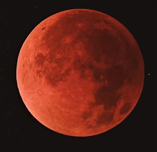 月全蝕點亮夜空!桃市圖帶領親子共度難忘閱讀夜