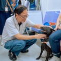 桃園捷運推一日限定寵物友善專車 飼主、毛孩共度歡樂旅程