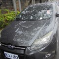 桃園分署聯合拍賣會10/7登場！福特轎車、股票等你帶走