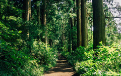 國有原保地違法占用頻傳 原民會祭清查計畫督導地方政府落實查處