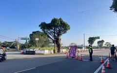 桃園仙草嘉年華11/22開幕！周邊交管、停車資訊這裡看