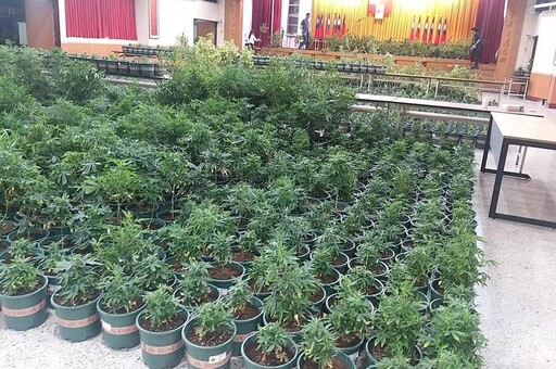 史上最大市值20億大麻植栽場 幕後金主猛偷電遭罰540萬