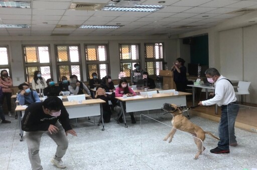 比特犬攻擊性強「咬住就不放」 專家教4招自保：不要直盯狗的眼睛