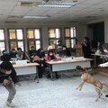 比特犬攻擊性強「咬住就不放」 專家教4招自保：不要直盯狗的眼睛