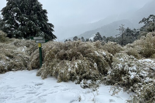 山友攀奇萊東稜「趴倒路徑上」無呼吸心跳 還有16人受困大雪待救援