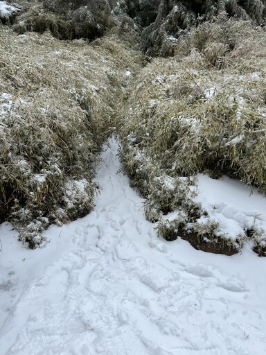 山友攀奇萊東稜「趴倒路徑上」無呼吸心跳 還有16人受困大雪待救援