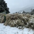 山友攀奇萊東稜「趴倒路徑上」無呼吸心跳 還有16人受困大雪待救援