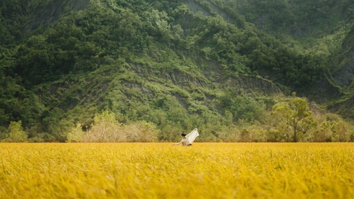 「Eastern Flow」花東國際行銷影片首映，謝怡芬(Janet)溫暖獻聲引領觀眾感受花東旅遊魅力