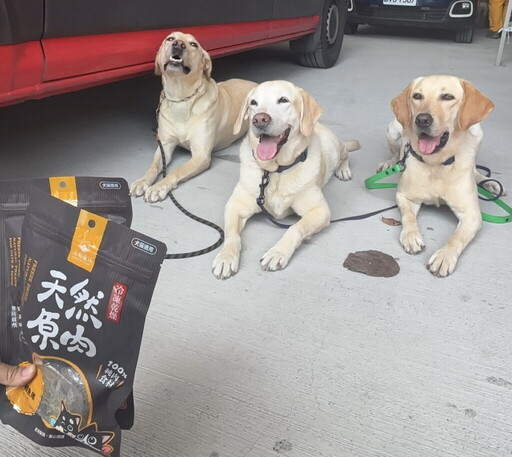 台西跨國打造搜救犬訓練營 西班牙教官來台傳授國際級訓犬技術