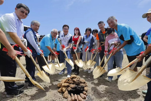 2025金山甘藷季「甜蜜專藷」熱鬧登場