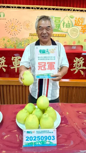 八里文旦柚評鑑登場 小農店舖直銷站同步開幕優惠