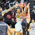 TPBL的哈比人對決 Ray McCallum麥卡倫26分 Daron Russell飛馳21分