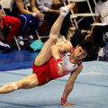 全大運體操莊佳龍狂掃金牌 世大運資格到手