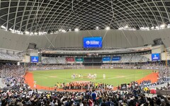 《Premier12》2024世界棒球12強參賽國家確認 中華隊有望在大巨蛋迎戰世界列強
