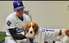 影/《MLB》大谷帶愛犬Decopin超萌開球加持 首打席就炸裂本季第42轟