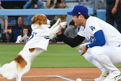 影/大谷炸裂第46番追平個人生涯全壘打數 46轟46盜持續朝空前紀錄邁進