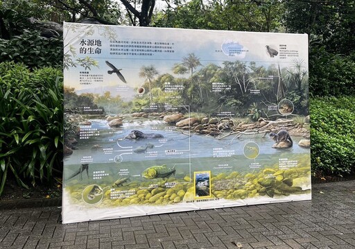 一起奔向守護棲地之路 「2024國家地理雜誌野生動物路跑」吸引6000名跑友共襄盛舉