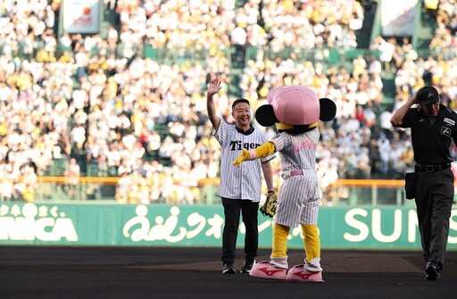 甲子園瘋台灣 2025台灣日熱力登場!