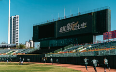 審計部點名高市府補助台鋼雄鷹收支失衡 球團：依法付費